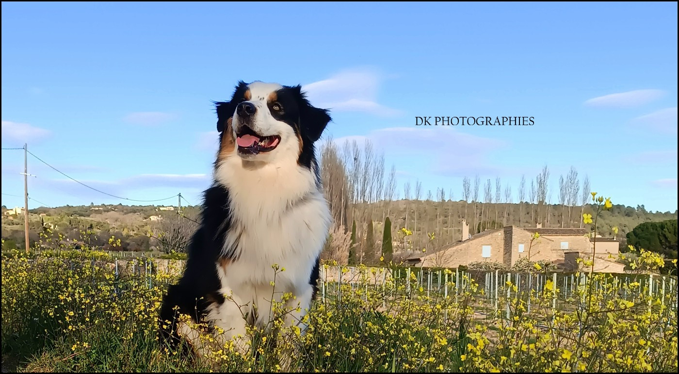 Diamond Keeper Shadow on my heart