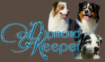 Diamond Keeper